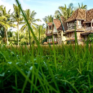 https://the-rice-joglo.ubudhotelsnow.com